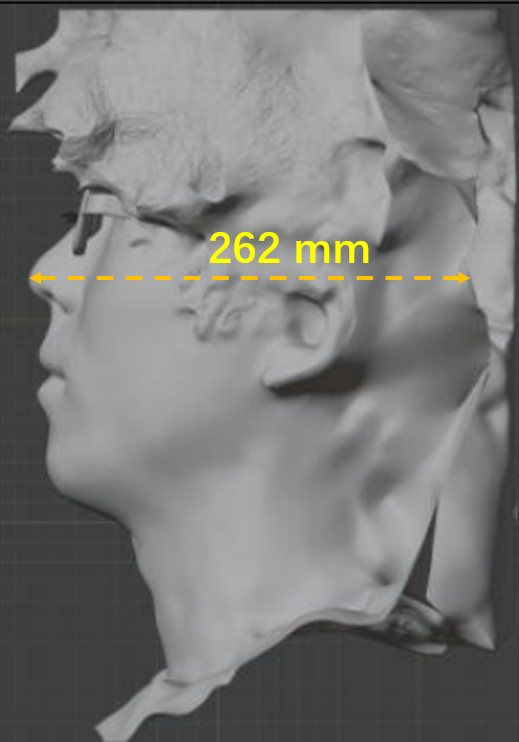 Side view of a reconstructed face, annotated with a head-depth measurement of 262 mm.